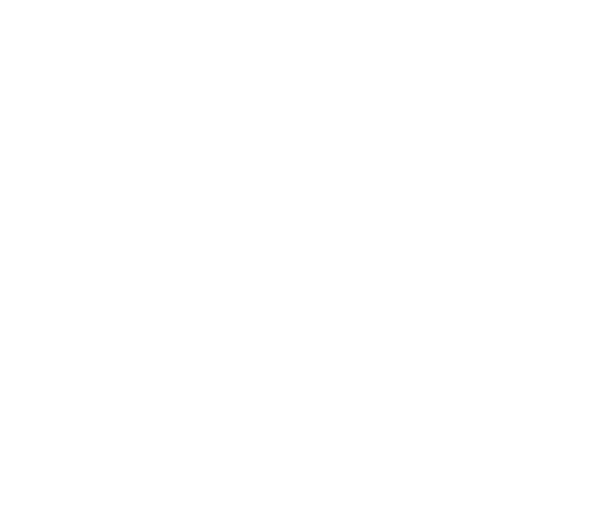 Smartfloor